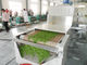 Fixação de secagem da esterilização do equipamento de micro-ondas de 20 quilowatts para ervas e flores do chá