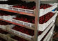 Secagem vermelha elétrica das frutas e legumes da máquina do secador do ar quente do jujuba de baixo nível de ruído