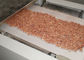 Secagem da micro-ondas do amendoim e repreensão das porcas do secador do feijão de cacau da máquina da esterilização